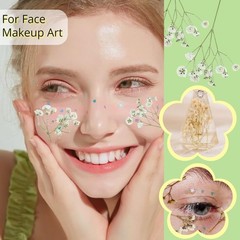 90Pcs Mini Dried Pred Baby’s Breath Flowers Bulk – Natural Flat Real
