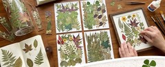 110+ Pcs Dried Flowers Leaves for Crafts, Real Pred Flowers Dry Leaves