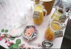 Mimosa Bar Decor Kit Package Mimosa Bar Signage for Bridal Brunch Bachelorette