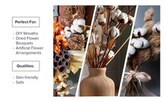 Cotton Stems Proflora All Natural Dried 3 Ball – 18pcs, 14.5”