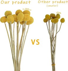 30Pcs Natural Dried Flowers Craspedia Billy Balls Flowers Billy