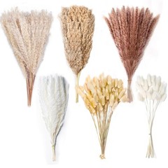 200PCS Natural Dried Pampas Grass Decor – 17″ Fluffy Pampas Grass Bouquet – B…