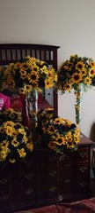 Large Sunflowers ,navy Blue Roses Flower Arrangements With Tall Glass Vases .