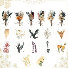 Fuyp Mini Boho Dried Flower Bouquet Set of 6 Natural Dried Flowers Small