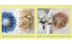 120 Pcs Mini Dried Baby Breath Flowers Gypsophila Ivory Flowers Dried