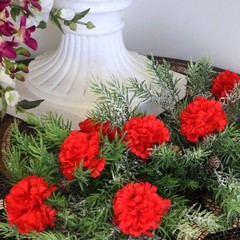 Larksilk Red Carnations, Fake Flowers, 100 Pack for Events, Weddings, DIY
