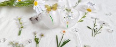Butterfly Floral Stiers Bulk – 320 Pcs Transparent Realistic