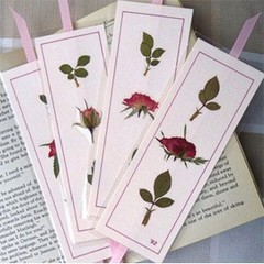 221PCS Real Dried Pred Flowers for Resin Craft, Dry Pring