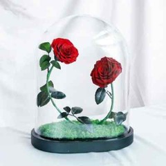 Eternal Rose in Glass Dome – Valentine’s Day Gift