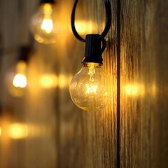 25 ft Warm White 28 Incandescent Bulbs String Lights Garland Wedding Decorations