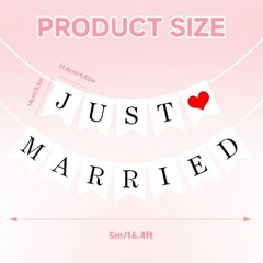Just Married Car Decorations – Car Wedding Decorations – Just Married Automotive