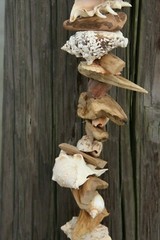 Beach Wedding Natural Ocean Decor Driftwood Garland, Handcrafted, 5 feet, Nordic