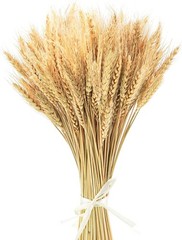 17.7 Inches Dried Wheat Stalks, 100 Stems Dried Flowers Natural
