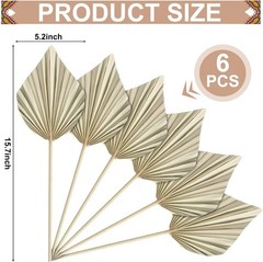 6 Pcs Small Boho Dried Palm Fans,Natural Dried Palm Spears Leaves with