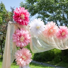 Daisy Tissue Paper Pom Poms, Wildflower Party Decorations, 14 inches, pink