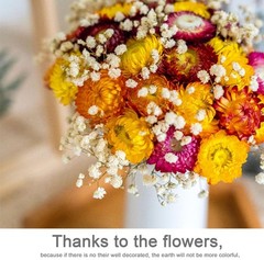 24 Pcs Natural Dried St Flowers Daisy, Oran Dried Flowers