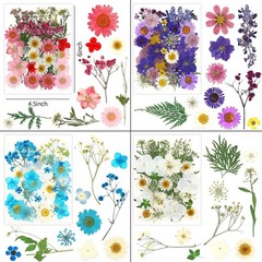 170Pcs+ Real Dried Pred Flowers Leaves Petals for Crafts-Beautiful