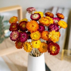 Dried Flowers Bouquet Natural Daisy – 40 PCS Multicolor Daisies Dried