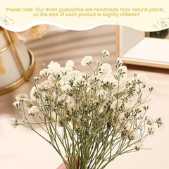100 Pcs Dried Babys Breath Flowers Bulk Babys Breath Real Pred