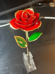 24k Red Gold Plated Rose – with Transparent Stand