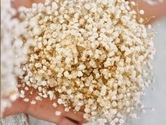 4000+ Dried Babys Breath Flowers Bulk – 17.2″ Ivory White Dried Flowers