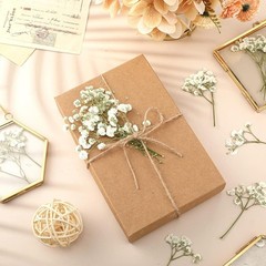100 Pcs Dried Babys Breath Flowers Bulk Babys Breath Real Pred