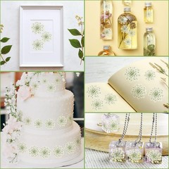 200 Pcs Pred Dried Flowers for Resin Art mi Majus Natural Pred