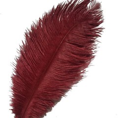 10pcs bouquet feathers 12-14inch 30-35cm for home wedding decoration burgundy