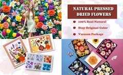 92Pcs Pred Dried Flowers for Resin, Real Assorted Natural Bulk