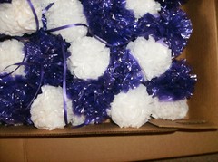NEW “JUST MARRIED” WEDDING DECOR CAR SIGN & 145 POM POMS W/ TIES HANDMADE IN USA