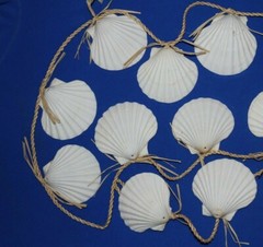 Large Seashell Christmas Tree Garland, White Irish Cups Raffia – 68″+ G-25