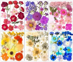 221PCS Real Dried Pred Flowers for Resin Craft, Dry Pring