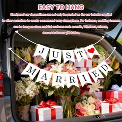 Just Married Car Decorations – Car Wedding Decorations – Just Married Automotive