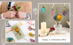 10 Pcs Mini Dried Flowers Bouquet Natural Gypsophila Don’t Fort Me Dried