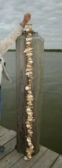 Beach Wedding Natural Ocean Decor Driftwood Garland, Handcrafted, 5 feet, Nordic