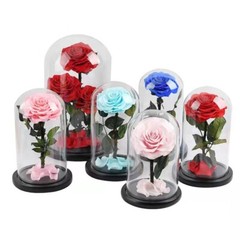 Eternal Rose in Glass Dome – Valentine’s Day Gift
