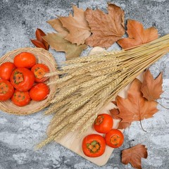 200 Stems Dried Wheat Stalks Natural Wheat Bundle for Home Decor, Crafts