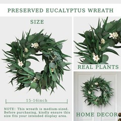 16 inch Preserved Eucalyptus Wreath – Medium-Sized Natural Handcrafted