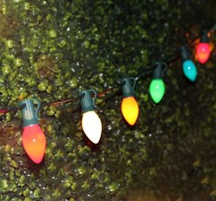 Couah C7 LED String Lights-25Ft Ceramic Vintage Multicolor Lights with 27 Col…