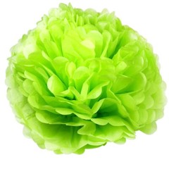6PCS Paper Flower Tissue Pom Pom Hanging Ball Wedding Babyshower Party Decor
