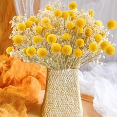 30Pcs Natural Dried Flowers Craspedia Billy Balls Flowers Billy
