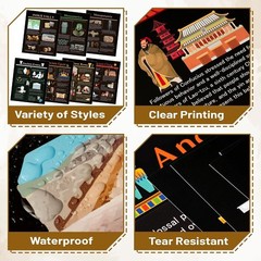 7PCS Ancient Civilizations Poster Set, Social Studies Classroom Learning Mate…