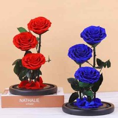 Eternal Rose in Glass Dome – Valentine’s Day Gift