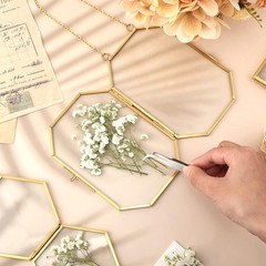 100 Pcs Dried Babys Breath Flowers Bulk Babys Breath Real Pred