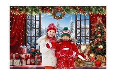 20x10ft Christmas Window Backdrop for Photography Winter Wonderland Snow Moun…