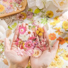 Maxleaf Pred Flower Stiers Set, 270PCS Dried Flowers Waterproof