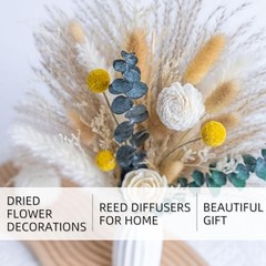 Dried Flowers Reed diffusers kit, Ceramic Vase Included, Reed Whitegreen