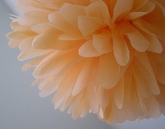 36x tissue paper pom poms flowers wedding birthday baby shower venue decoration