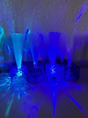 Amylove Mini Fiber Optic Lamp LED Light Color Changing Table Centerpiece