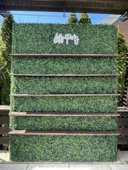 Champagne Wall